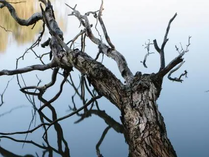Two Minutes Of Stillness