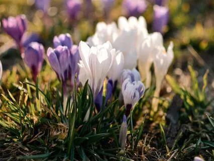 Two Ways Wisdom Speaks - Feb 19