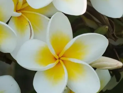 Two‑Word Calming Micro Affirmations For Quick Inner Support