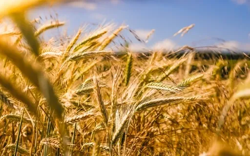 Ты - источник изобилия!