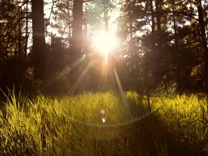 Медитация на Безусловное Принятие Себя