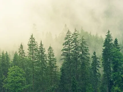 Ubetinget kærlighed