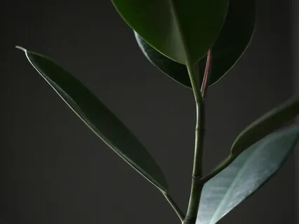 Ujjayi Breath To Relieve Anxiety & Stress