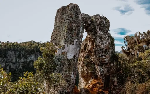 Ujjayi Breathing & Eco-Grief Awareness 