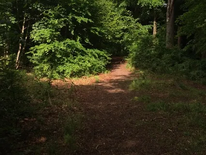 UK Nature Soundscape