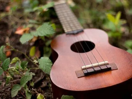 Ukulele Intuitive Song