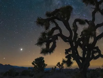 Ultimate Calm - Serenity 528Hz