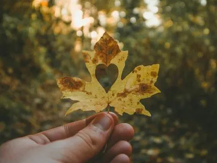 Ultimate Compassion Meditation - For For Self And Others