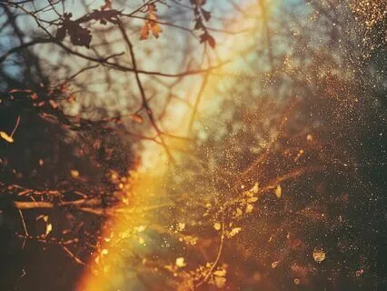 Ultimate Focus: Full Spectrum Brown Noise