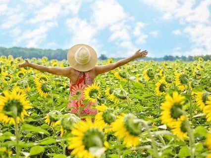 Gratitude Meditation