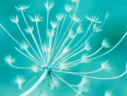 Ultimate Healing Deep Meditation Music, For Yoga, Reiki, Energy Work