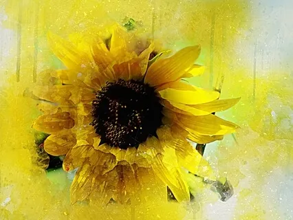 Ultimate Pregnancy Meditation