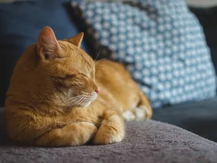 Ultimate Sleep Optimizer: Maximum Rest (Pyramid Delta Waves)