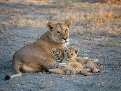 Ultimate Sleep Serenity & Relaxation | A Mother's Love