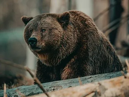 Ultimate Sleep Serenity & Relaxation | Safety & Protection