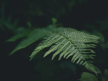 Ultra Deep Meditation Music - Level 2