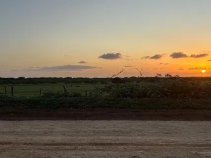 Blessed Brown Noise: Extra Long (11:11)