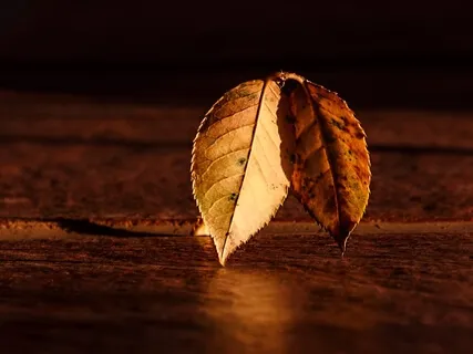 Ultra Soft Brown Noise (Block Out Distractions & Get A Better Sleep)