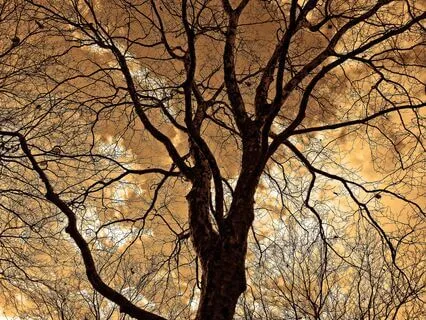 Ultra Soft Brown Noise (Get A Better Sleep)