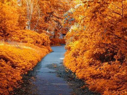 Ultra Soft Brown Noise | Ultimate Brown Noise Rest