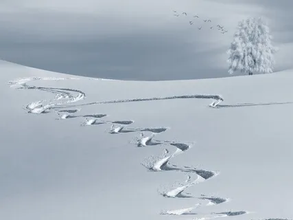 Ultraleichtes weißes Rauschen mit Naturgeräuschen