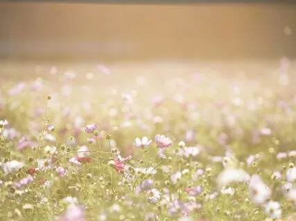 Ultrasanftes braunes Rauschen mit Pianoflüstern (Tinnitus)