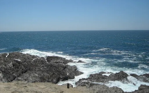 Um Momento de Mindfulness