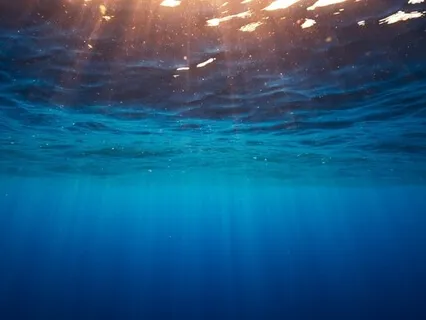 Um Oceano de Silêncio