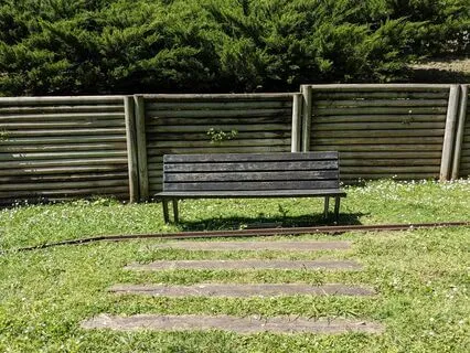 Um Pássaro Canta, Mas Nem Sempre O Ouvimos