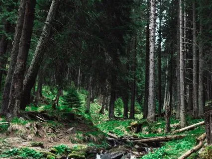 Um Piano Na Lua,  Solo Piano Meditation Moonlight Journey