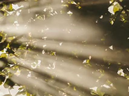Un-Hijack Your Mind: Gratitude