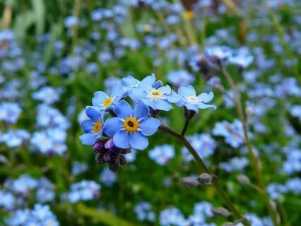 Unashamedly Free - May 13