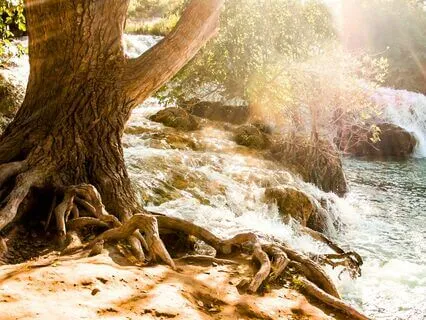 Unblock Lower Chakras With 396 + 417 + 528 Hz Tuning Forks