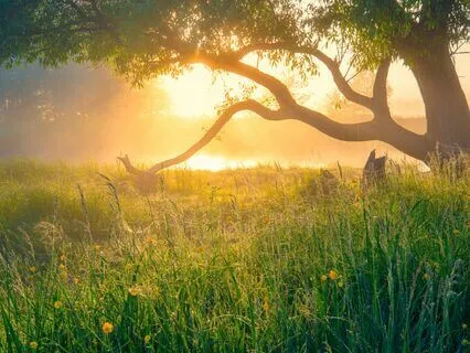 Unblock Middle Chakras With 528 + 639 + 741 Hz Tuning Forks