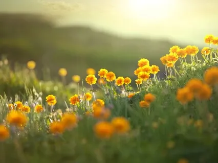 Unblock The Nose Before BreathWork Meditation Or Pranayama