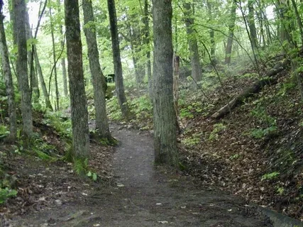 Unblocking The Chakras With Visualization