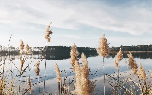 Unbound | Expansive Breathing Meditation | 8 Minutes