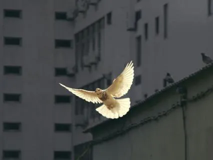 Unburden: Healing Money Shame