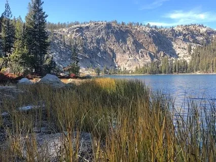 Uncertainty To Confidence With Feminine Embodiment