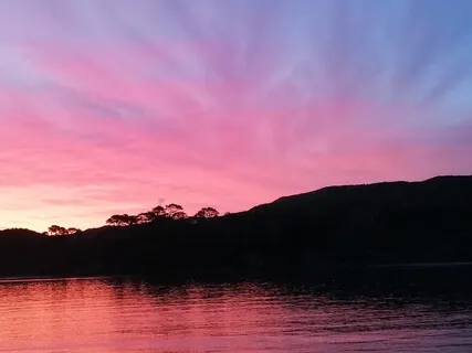 Unclench In The Night