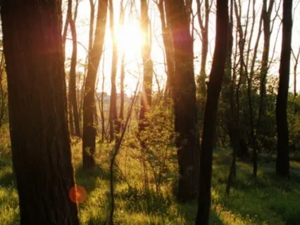 Unconditional Love & Forgiveness