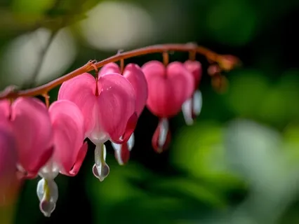  Unconditional Love & Love Poems