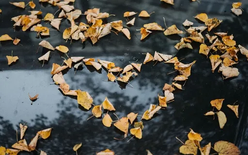 Unconditional Love - For Self & All