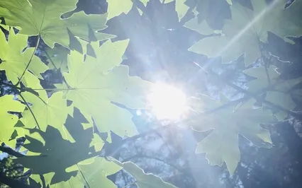 Unconditional Love Meditation