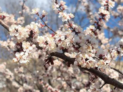 Unconditional Love, The Space Between Thoughts - April 05