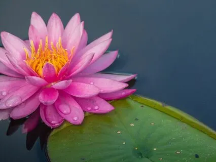 Unconditional Safety Meditation - Do This For Anxiety