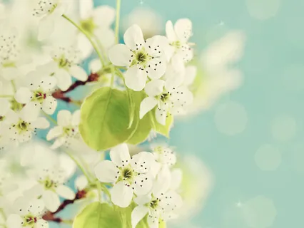 Unconditional Self-Care