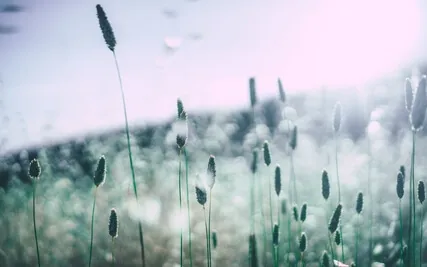 Unconditional Sun, Rain, And Wind