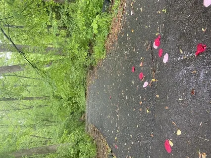 Unconditional Support : Grounding & Resourcing Meditation