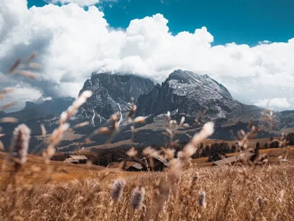 Unconditional True Love